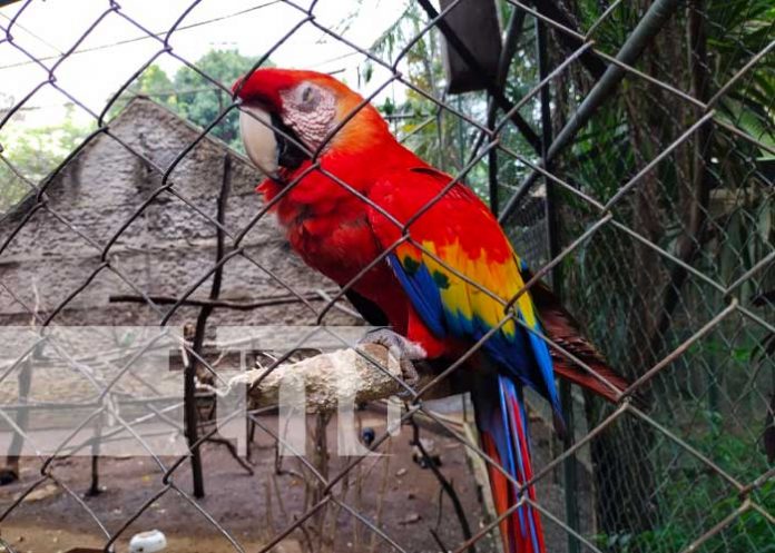 Zoológico Nacional, una aventura que no puedes perder