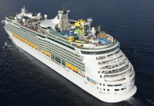 Mujer cae al mar desde crucero y sobrevive tras increíble rescate (Video) Foto: Mujer cae al mar desde crucero y sobrevive tras increíble rescate (Video) / Cortesía