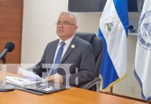 Pollo, huevo y miel, entre otros rubros siguen dinamizando la economía de Nicaragua Pollo, huevo y miel, entre otros rubros siguen dinamizando la economía de Nicaragua