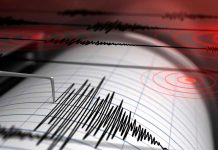 Se registra un terremoto de magnitud 5,6 en Taiwán