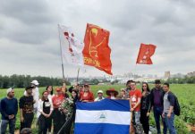 Estudiantes de Nicaragua participaron en la recolección anual de fresas en Rusia