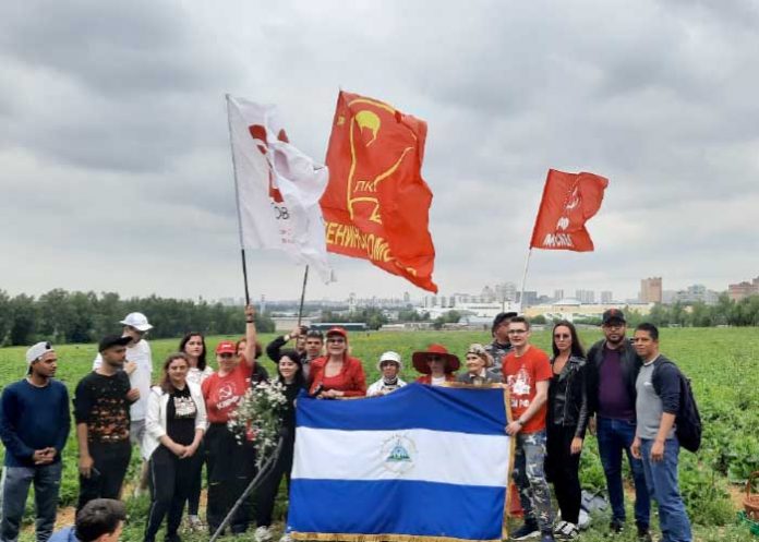 Estudiantes de Nicaragua participaron en la recolección anual de fresas en Rusia