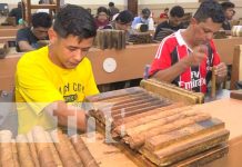 44 años de desarrollo económico en las tres veces heroica ciudad de Estelí Estelí aportando más de 57 mil plazas de empleos