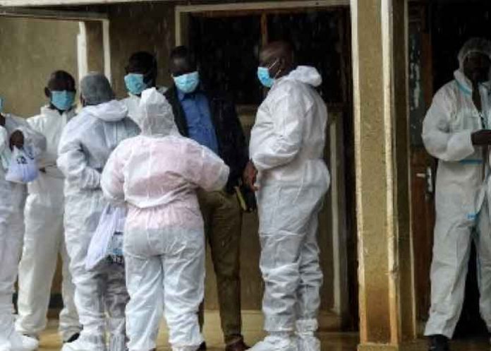 Foto: Tragedia en Kenia: 360 muertos en secta religiosa que promovía el ayuno / Cortesía