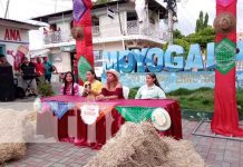 Invitan al gran 'Festival Vaquero' en Moyogalpa, Isla de Ometepe