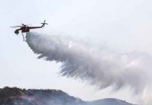 Ola de calor desata tres incendios forestales en California Foto: Ola de calor desata tres incendios forestales en California / Cortesía