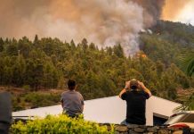 Un incendio forestal ha quemado más de 4.500 hectáreas en La Palma, España Foto: Un incendio forestal ha quemado más de 4.500 hectáreas en La Palma, España / Cortesía