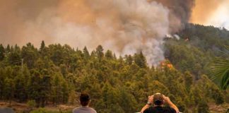Foto: Un incendio forestal ha quemado más de 4.500 hectáreas en La Palma, España / Cortesía