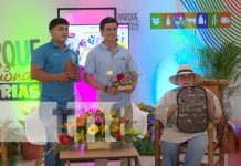 MEFCCA conmemora Triunfo Sandinista con Feria Nacional de 4 días Foto: MEFCCA conmemora Triunfo Sandinista con Feria Nacional de 4 días / TN8