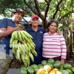 Foto: Éxito Cooperativa Mombacho: Ricardo Morales Avilés / TN8