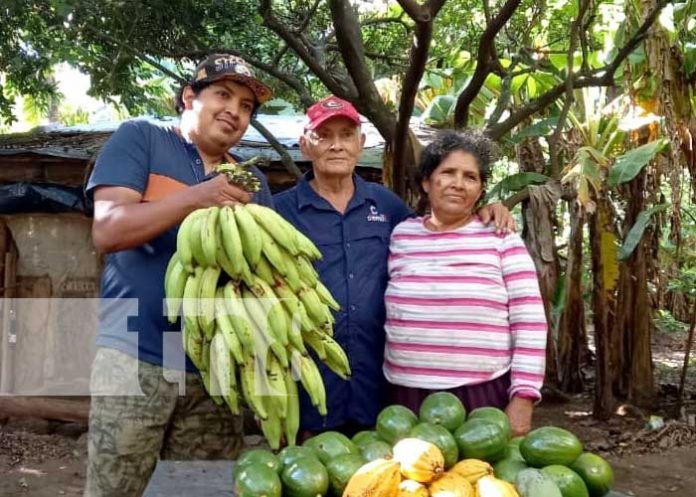 Foto: Éxito Cooperativa Mombacho: Ricardo Morales Avilés / TN8