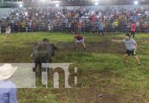 Capitalinos inician a celebrar las fiestas taurinas en honor a Santo Domingo de Guzmán Foto: Capitalinos inician a celebrar las fiestas taurinas en Honor a Santo Domingo de Guzmán / TN8