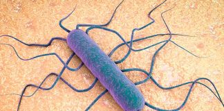 En Estados Unidos el brote de una bacteria deja varios muertos