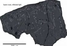 Expertos están asombrados del reingreso a la tierra del meteorito "bumerán"