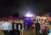 Pérdidas materiales deja un incendio en la Isla de Ometepe Perdidas materiales deja un incendio en la Isla de Ometepe