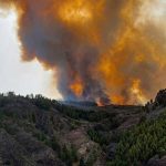 ¡Descontrolado! 200 hectáreas de bosque arden el fuego en Gran Canaria ¡Descontrolado! 200 hectáreas de bosque arden el fuego en Gran Canaria
