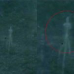 Extraño monstruo marino alarma a todos en Tamaulipas, México