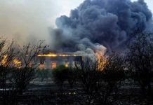 Un anciano muerto y otra avioneta estrellada por los incendios en Italia y Grecia Un anciano muerto y otra avioneta estrellada por los incendios en Italia y Grecia