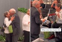 ¡No es tarde! Abuelito propone matrimonio a su amor de secundaria ¡No es tarde! Abuelito propone matrimonio a su amor de secundaria