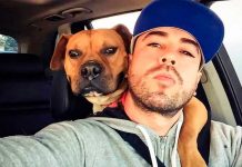 ¿Le ayudas? Hombre abre Onlyfans todo para ayudar a los perritos ¿Le ayudas? Hombre abre Onlyfans todo para ayudar a los perritos