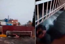 En vivo: Reportero salva a indigente de morir ahogado (Video) En vivo: Reportero salva a indigente de morir ahogado (Video)