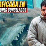 ¡Ingenioso! «El Chapo» traficaba droga a EE.UU. a través de tiburones congelados ¡Ingenioso! "El Chapo" traficaba droga a EE.UU. a través de tiburones congelados