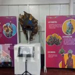 Inauguran museo de Las Fiestas Tradicionales de Managua