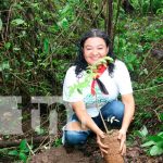 Más de un millón de árboles serán plantados en Triángulo Minero Foto: Más de un millón de árboles serán plantados en Triángulo Minero / TN8