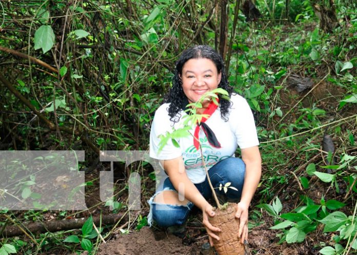 Foto: Más de un millón de árboles serán plantados en Triángulo Minero / TN8