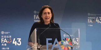 Nicaragua está participando en el 43 periodo de sesiones de la FAO