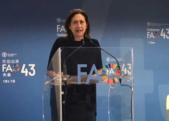 Nicaragua está participando en el 43 periodo de sesiones de la FAO
