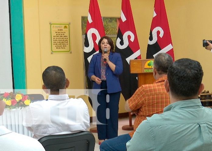 INAFOR presentó documental “Pinos Tropicales de Nicaragua”