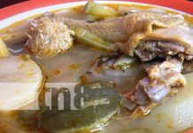 Foto: Jalapa ya tiene su representante para el festival departamental «Sabores de Invierno» / TN8