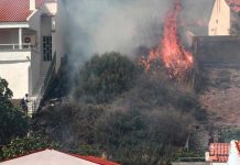 Voraz incendio obliga a evacuar a miles de turistas en la isla griega de Rodas Foto: Voraz incendio obliga a evacuar a miles de turistas en la isla griega de Rodas / Cortesía