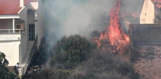 Foto: Voraz incendio obliga a evacuar a miles de turistas en la isla griega de Rodas / Cortesía