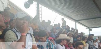 Foto: Hombre termina grave tras ser embestido por un toro en Camino Viejo a Santo Domingo / TN8