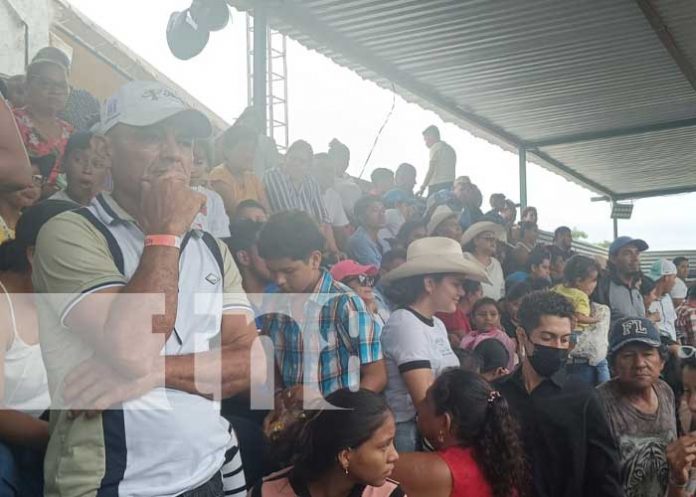 Foto: Hombre termina grave tras ser embestido por un toro en Camino Viejo a Santo Domingo / TN8