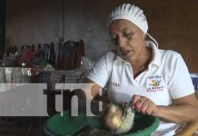 Crecimiento turístico incentiva a emprendedores de Potosí en Rivas Crecimiento turístico incentiva a emprendedores de Potosí en Rivas