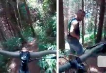 ¡Atrapados! Ciclista descubre a una pareja haciendo el amor en el bosque ¡Atrapados! Ciclista descubre a una pareja haciendo el amor en el bosque