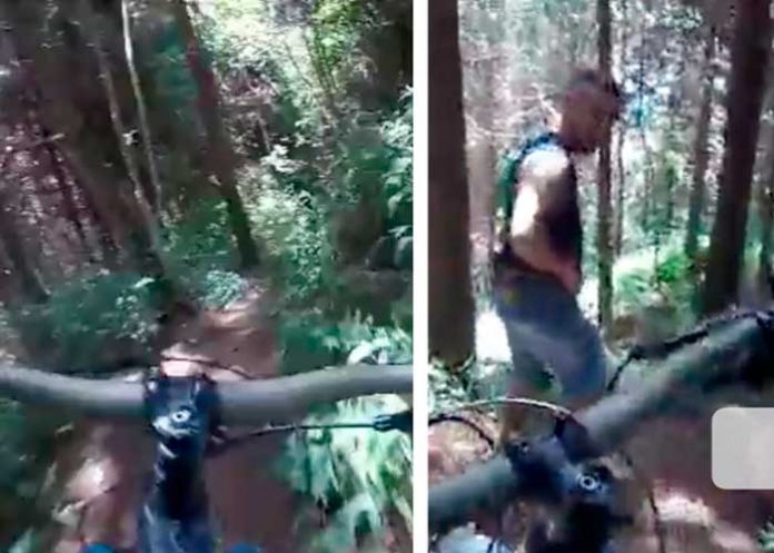 ¡Atrapados! Ciclista descubre a una pareja haciendo el amor en el bosque