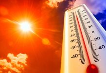 Foto: Olas de calor mortales: un fenómeno en aumento en Estados Unidos / Cortesía