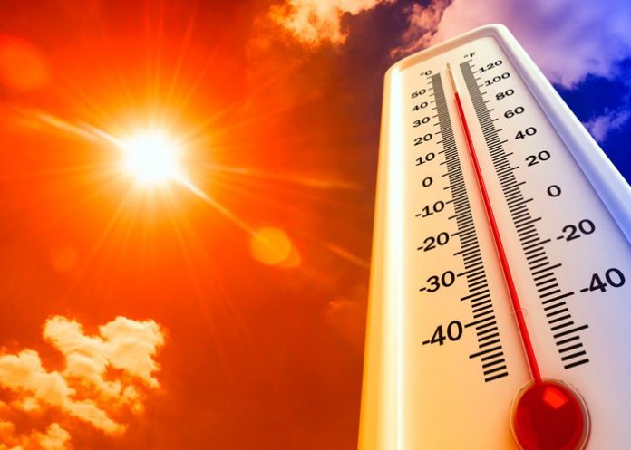 Foto: Olas de calor mortales: un fenómeno en aumento en Estados Unidos / Cortesía