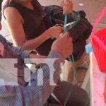 Foto: "Sin miedo al éxito" familia de no videntes de Nandaime potencian la producción de "canastas", dando un ejemplo de superación a Nicaragua /TN8