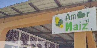 Las güirilas, una comida típica de Nicaragua, las encontrás frente a la policía de Granada