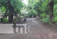 Inversión en caminos rurales impulsa producción agrícola en Nandaime