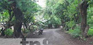 Inversión en caminos rurales impulsa producción agrícola en Nandaime