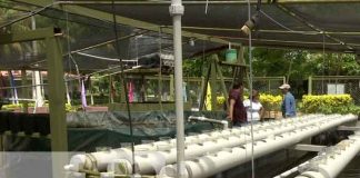 Mejorando la calidad de vida de las familias de Managua