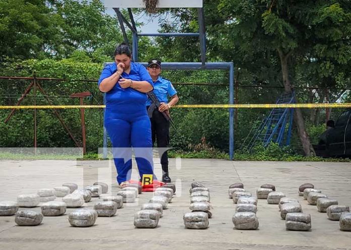 3 Incautadas 296 libras de marihuana y detienen a cuatro personas en Ocotal