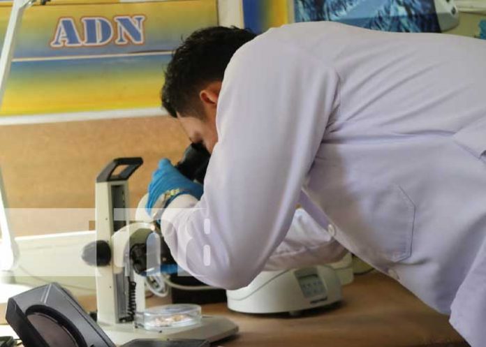 Foto; Certeros resultados con el nuevo centro de criminalística NO. 218 en Masaya / TN8