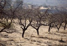 Emergencia climática en América Latina y el Caribe: Extremos sin precedentes Foto: Emergencia climática en América Latina y el Caribe: Extremos sin precedentes / Cortesía